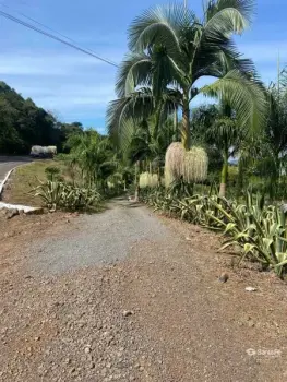 Imagem do anúncio: Vendo Fazenda / Sítio / Chácara Em Concórdia, Santa Catarina No Bairro Br 153 - Cód. fd4cc06f16e9e5ac8f354968037a1a93