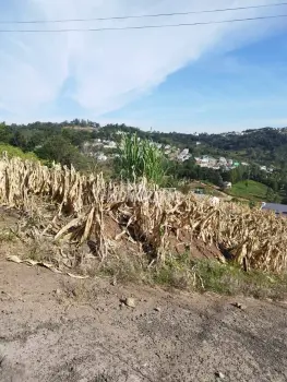 Imagem do anúncio: Vendo Terreno / Lote / Condomínio Em Concórdia, Santa Catarina No Bairro Fragosos - Cód. 3726b12f89026dbffd844d76e9644f37