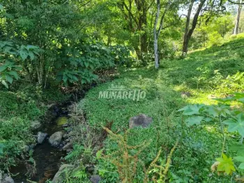 Imagem do anúncio: Vendo Fazenda / Sítio / Chácara Em Concórdia, Santa Catarina No Bairro Fragosos - Cód. c7091f33c62143b7db4988dba2290a75