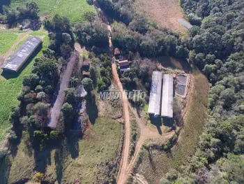 Imagem do anúncio: Vendo Fazenda / Sítio / Chácara Em Jaborá, Santa Catarina No Bairro Interior - Cód. c513e5ec0f2bdf718a924e55f2e5fa4a