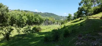 Imagem do anúncio: Vendo Fazenda / Sítio / Chácara Em Ipira, Santa Catarina No Bairro Linha Penísula - Cód. ca65e6e0805e985e8f1ba66990410000