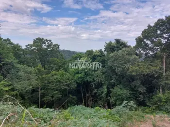 Imagem do anúncio: Vendo Terreno / Lote / Condomínio Em Concórdia, Santa Catarina No Bairro Nações - Cód. 7b4bff8b51bb8a473e1ff213a553b230
