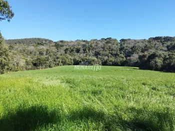 Imagem do anúncio: Vendo Casa Em Concórdia, Santa Catarina No Bairro Área Rural De Concórdia - Cód. 262f37f7d8f21c744ea05e7b0ca708af