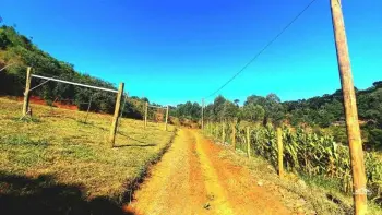 Imagem do anúncio: Vendo Fazenda / Sítio / Chácara Em Fraiburgo, Santa Catarina No Bairro Interior Linha Britador - Cód. b30a5b31cfb728404e972bbe8bc43d4c