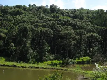 Imagem do anúncio: Vendo Fazenda / Sítio / Chácara Em Ipira, Santa Catarina No Bairro Linha Dos Pintos - Cód. 507fa866e25f3f2c975253a157d2b939