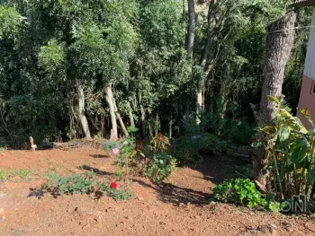 Imagem do anúncio: Vendo Terreno / Lote / Condomínio Em Piratuba, Santa Catarina No Bairro Balneário - Cód. 7b4fd745ffe3800ddb4dbe8380470c9a