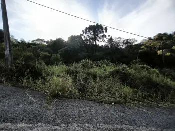 Imagem do anúncio: Vendo Terreno / Lote / Condomínio Em Concórdia, Santa Catarina No Bairro Guilherme Reich - Cód. 38ab603939cba703adaef50601c13d65
