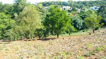 Imagem do anúncio: Vendo Fazenda / Sítio / Chácara Em Joaçaba, Santa Catarina No Bairro Clara Adélia - Cód. 7f7555833c4750e4f5b1c0dcffdf28e7