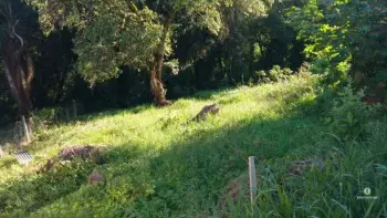 Imagem do anúncio: Vendo Terreno / Lote / Condomínio Em Herval Do Oeste, Santa Catarina No Bairro Nossa Senhora De Fatima - Cód. 6c61985c8c25bf4b34ea28ee7b26d4e0
