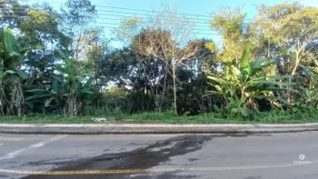 Imagem do anúncio: Vendo Terreno / Lote / Condomínio Em Joaçaba, Santa Catarina No Bairro Frei Bruno - Cód. 0435c3cf30440ffcc5dfa799a316f50d
