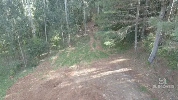 Imagem do anúncio: Vendo Fazenda / Sítio / Chácara Em Macieira, Santa Catarina No Bairro Linha Santo Antonio - Cód. 21aad3fa690c50de6c118cb5f5980495