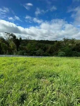 Imagem do anúncio: Vendo Terreno / Lote / Condomínio Em Videira, Santa Catarina No Bairro Loteamento Residencial Prime - Cód. d859ea43313589b6be8f0297c9cee835