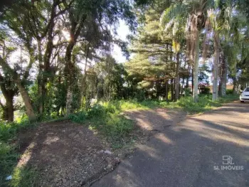 Imagem do anúncio: Vendo Terreno / Lote / Condomínio Em Videira, Santa Catarina No Bairro Sesi - Cód. 265f6c161cb9b5001271bb71e37b51f1