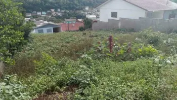 Imagem do anúncio: Vendo Terreno / Lote / Condomínio Em Videira, Santa Catarina No Bairro Floresta - Cód. 4dc2084017e1efe041c8ded90f3db6b8