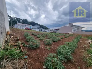 Imagem do anúncio: Vendo Terreno / Lote / Condomínio Em Videira, Santa Catarina No Bairro Loteamento Recanto Da Natureza - Cód. bd82d444c710e6ec395f987969dec8d9