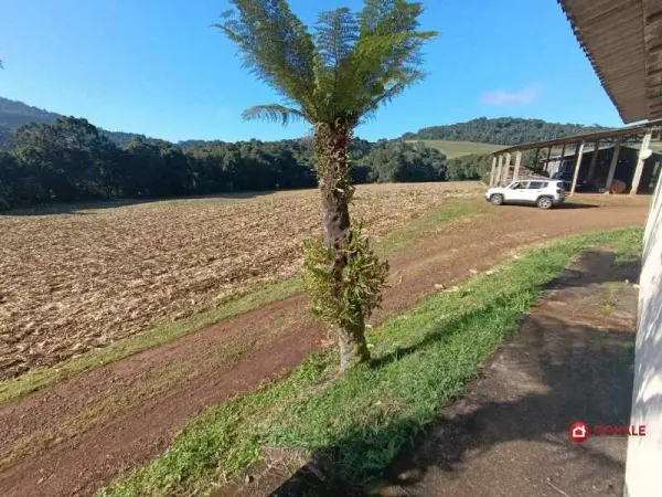 Imagem do anúncio: Vendo Fazenda / Sítio / Chácara Em Iomerê, Santa Catarina No Bairro Linha Paulina - Cód. cb0646e55c26f0a080f4374c4a5a1d48