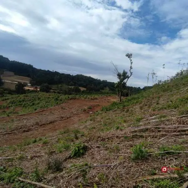 Imagem do anúncio: Vendo fazenda / sítio / chácara em Rio das Antas , Santa Catarina no bairro Linha São Luiz - Cód. 035eb6ce271200f594ac01bdc199ca93