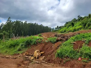 Imagem do anúncio: Vendo Fazenda / Sítio / Chácara Em Iomerê, Santa Catarina No Bairro Interior - Cód. fa8831d9b55d174f48b57d3cca7cbfab