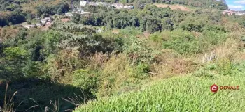 Imagem do anúncio: Vendo Terreno / Lote / Condomínio Em Videira, Santa Catarina No Bairro Carelli - Cód. 0a3596c5ea516991dde1a1af35364fba