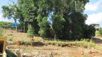 Imagem do anúncio: Vendo Terreno / Lote / Condomínio Em Videira, Santa Catarina No Bairro Farroupilha - Cód. 306dc0e03eb989c990d2cf6516e6644d