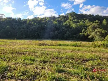 Imagem do anúncio: Vendo Fazenda / Sítio / Chácara Em Iomerê, Santa Catarina No Bairro Linha Santa Terezinha - Cód. 128bbb0cfec061a2a61e7521a3effd0d