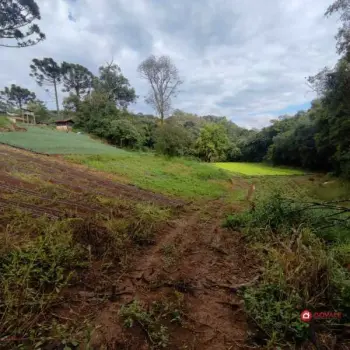 Imagem do anúncio: Vendo Fazenda / Sítio / Chácara Em Videira, Santa Catarina No Bairro Campina Bela - Cód. a4d1b2a2ee623eea612722a25a2e40d9
