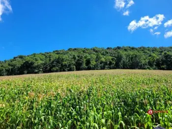 Imagem do anúncio: Vendo Fazenda / Sítio / Chácara Em Iomerê, Santa Catarina No Bairro Linha Bridi - Cód. 3584a9d12670bcbfbf12d6d6853f008a