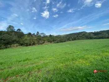 Imagem do anúncio: Vendo Fazenda / Sítio / Chácara Em Videira, Santa Catarina No Bairro Linha São José - Cód. 507ca96a80aeaf90c66ed3be93736dc9