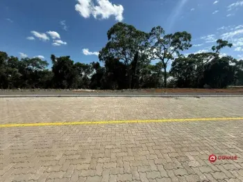 Imagem do anúncio: Vendo Terreno / Lote / Condomínio Em Videira, Santa Catarina No Bairro Portal Das Videiras - Cód. 207603301178a3b8707ec775c3399976
