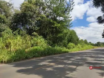 Imagem do anúncio: Vendo Terreno / Lote / Condomínio Em Rio Das Antas, Santa Catarina No Bairro Ipomeia - Cód. 24c8c294c167e3ffca4b296388b80099