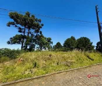 Imagem do anúncio: Vendo Terreno / Lote / Condomínio Em Videira, Santa Catarina No Bairro Quartel - Cód. bcd132b46e8425fb13fa589eeefe69ec