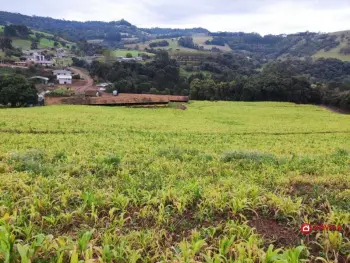 Imagem do anúncio: Vendo Fazenda / Sítio / Chácara Em Pinheiro Preto, Santa Catarina No Bairro Linha União - Cód. b731f439b09d2923d6e0816421208563