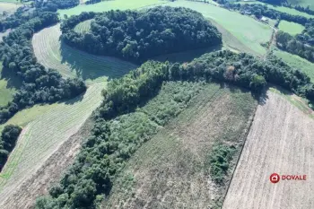 Imagem do anúncio: Vendo Fazenda / Sítio / Chácara Em Videira, Santa Catarina No Bairro Linha Lourdes - Cód. 0f17f04d8e967d49c322a9168469edaf