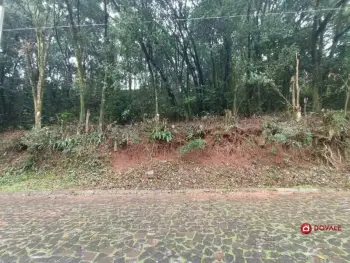Imagem do anúncio: Vendo Terreno / Lote / Condomínio Em Videira, Santa Catarina No Bairro São Cristovão - Cód. 470e529d1809c390de34445f5b615855