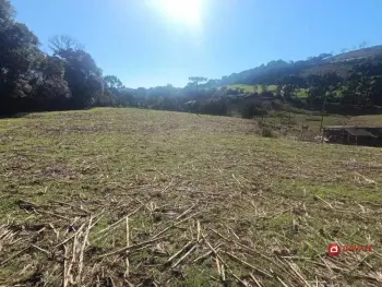 Imagem do anúncio: Vendo Fazenda / Sítio / Chácara Em Videira, Santa Catarina No Bairro Farroupilha - Cód. 5aaf6e10efccdc747cb4ec1c31e0bc4b