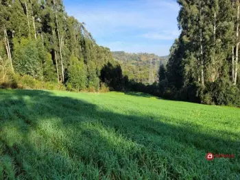 Imagem do anúncio: Vendo Fazenda / Sítio / Chácara Em Fraiburgo, Santa Catarina No Bairro Vista Alegre - Cód. bd86d456c7ed1951af3e9a77fec10bd2