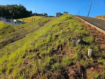 Imagem do anúncio: Vendo Terreno / Lote / Condomínio Em Videira, Santa Catarina No Bairro Loteamento Residencial Prime - Cód. 1ff3cc4244f9568bdf5cb056718b2f90