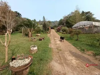Imagem do anúncio: Vendo Fazenda / Sítio / Chácara Em Rio Das Antas, Santa Catarina No Bairro Ipomeia - Cód. be7d03459dd81462776fcf4f31e42e4c