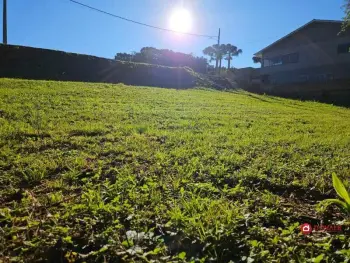 Imagem do anúncio: Vendo Terreno / Lote / Condomínio Em Videira, Santa Catarina No Bairro Loteamento Guzzi - Cód. ff8ea4aaa1a8202e2115d85d1a1d7ca8