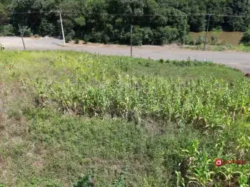 Imagem do anúncio: Vendo Terreno / Lote / Condomínio Em Videira, Santa Catarina No Bairro Panazzolo - Cód. 9d2185d23188e872fcdfd8e429315653
