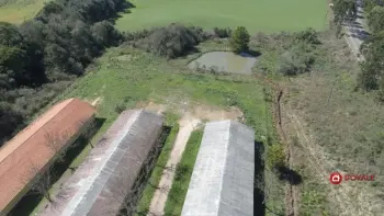 Imagem do anúncio: Vendo Fazenda / Sítio / Chácara Em Videira, Santa Catarina No Bairro Vista Alegre - Cód. 317006a49f53488df2eaf1b507070e94
