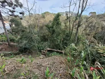 Imagem do anúncio: Vendo Terreno / Lote / Condomínio Em Videira, Santa Catarina No Bairro Cibrazém - Cód. 3d62295d558acba3018e5b6119877ce8