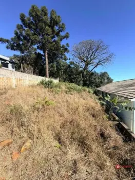Imagem do anúncio: Vendo Terreno / Lote / Condomínio Em Videira, Santa Catarina No Bairro Loteamento Dona Ermelinda - Cód. 6292360344ce725515be406606b3fd4d