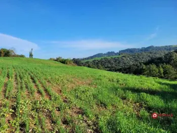 Imagem do anúncio: Vendo Fazenda / Sítio / Chácara Em Fraiburgo, Santa Catarina No Bairro Vista Alegre - Cód. 1ae1aa2d97694b2d02cee99514c4cadb
