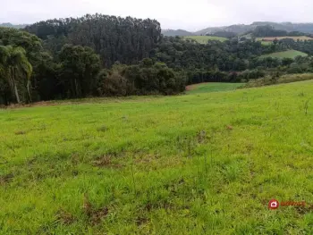 Imagem do anúncio: Vendo Fazenda / Sítio / Chácara Em Arroio Trinta, Santa Catarina No Bairro Rural - Cód. e98b7b75e6adc3f19f535d2f63f17bdf