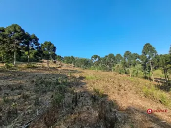 Imagem do anúncio: Vendo Fazenda / Sítio / Chácara Em Tangará, Santa Catarina No Bairro Passo Da Felicidade - Cód. 2f2ffc6d6c55bc6747d039f0846bf15f