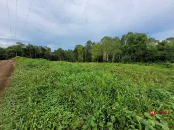 Imagem do anúncio: Vendo Fazenda / Sítio / Chácara Em Videira, Santa Catarina No Bairro Linha Fantin - Cód. 65e9f47876161fc0c0fffb7a34bb0e76