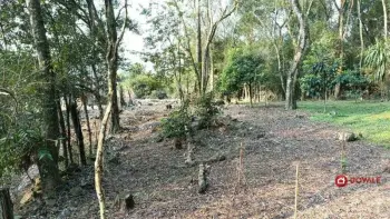 Imagem do anúncio: Vendo Terreno / Lote / Condomínio Em Rio Das Antas, Santa Catarina No Bairro Linha Gramados - Cód. e1e25749a21e0a084e3b48c1bef1933f