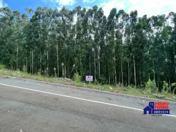 Imagem do anúncio: Vendo Terreno / Lote / Condomínio Em Herval Do Oeste, Santa Catarina No Bairro Loteamento Porto Seguro - Cód. 1a365a0603f2eb0c8fa2d1fd722e465c