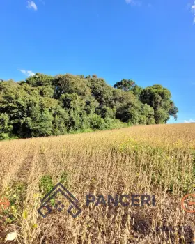 Imagem do anúncio: Vendo Casa Em Videira, Santa Catarina No Bairro Campina Bela - Cód. f9e5fc5e5e02a324aee6afec6f59b855